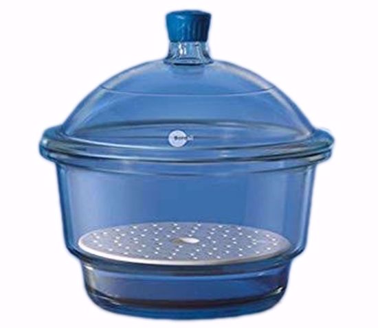 Desiccator with Cover Porcelain Plate and Plastic Knob - 100 mm