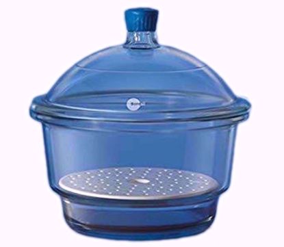Desiccator with Cover Porcelain Plate and Plastic Knob - 200 mm