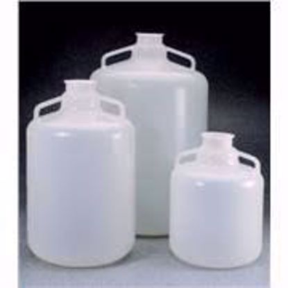Sanitary Neck Carboys PP-10 Lts.