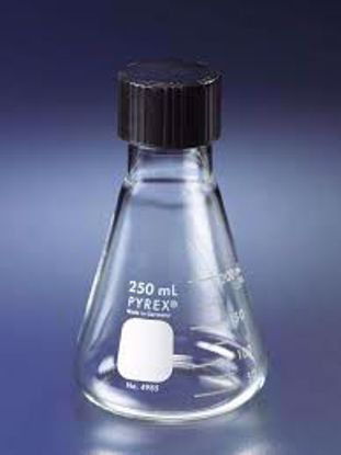 Conical Flask with Screw Cap 250 ml